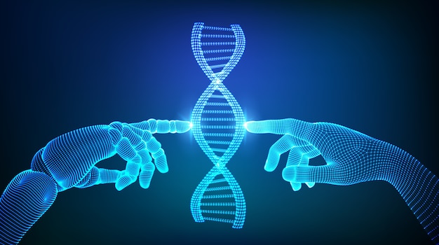Wireframe DNA sequence molecules structure mesh. Hands of robot and human touching on DNA.