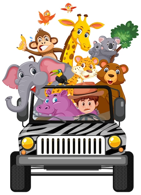 zoo concept with wild animals in the car isolated on white background