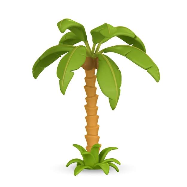 3d cute cartoon tropical palm tree realistic jungle tree on white background summertime object vector illustration