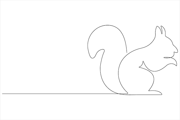 a drawing of a squirrel with a line drawn on it