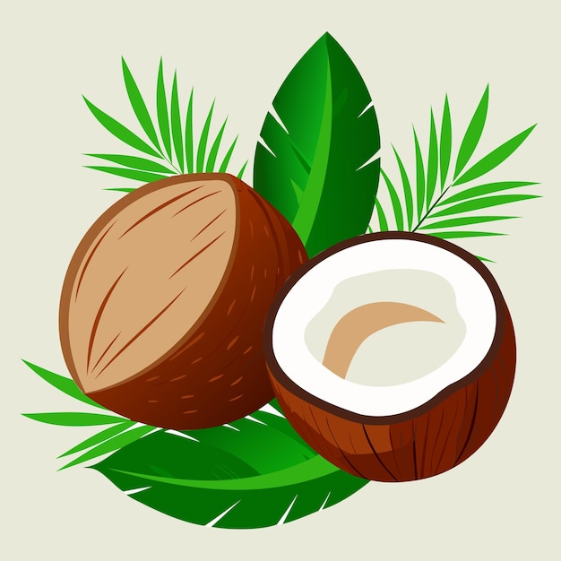 a drawing of coconuts and coconut with a green palm leaf