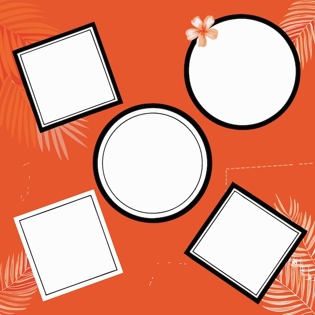 a picture of frames with a flower on it