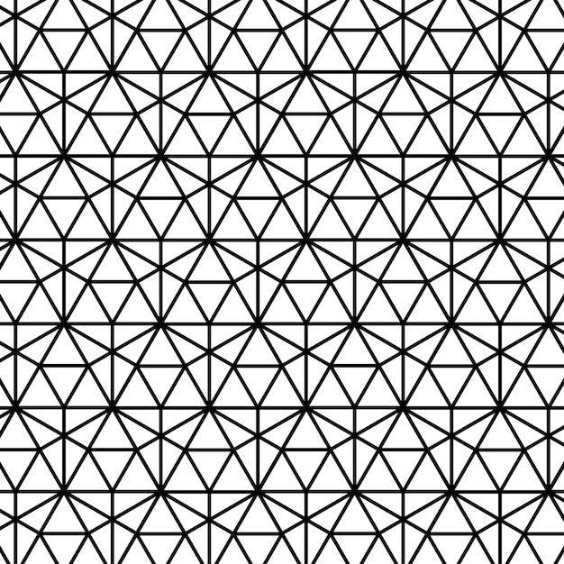 Abstract geometric pattern with lines Black and white texture