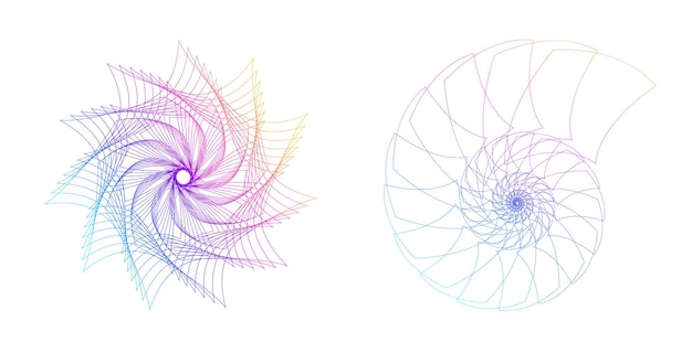 abstract spiral rainbow design element on white background of twist lines vector illustration eps 10 golden ratio traditional proportions vector icon fibonacci spiral for elegant business card