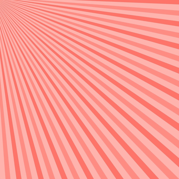Abstract sunbeams background. Vector illustration. Trendy pink color background