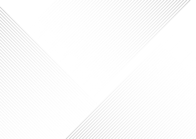 abstract white line background vector illustration