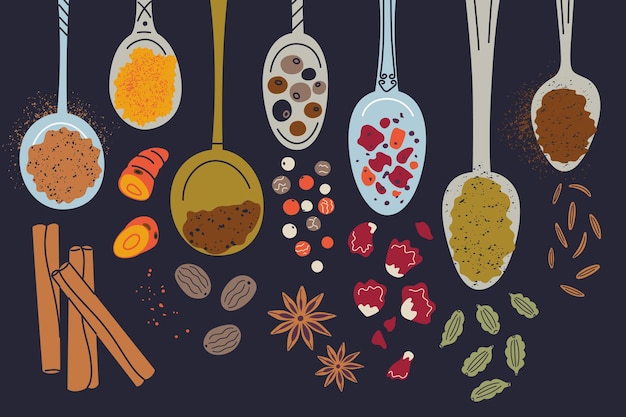 Advieh spice blend vector illustration collection with cinnamon cardamom turmeric nutmeg cumin and