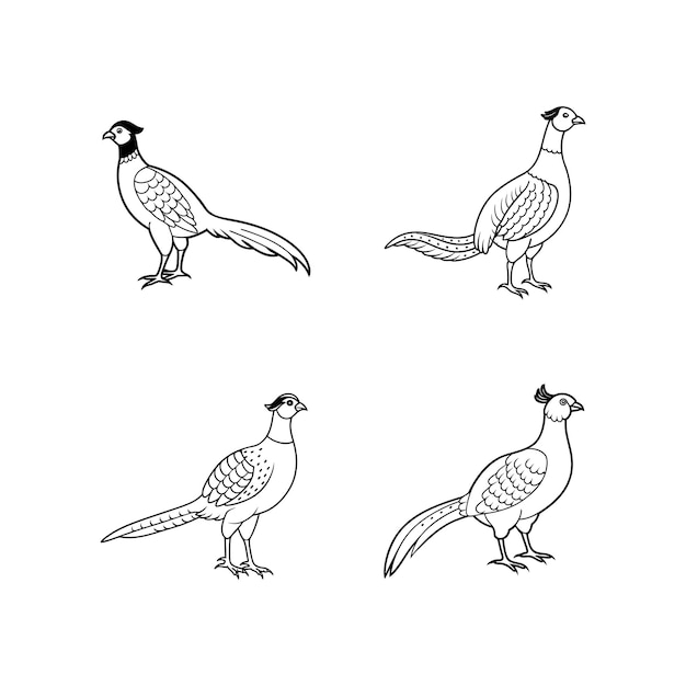 albatross bird silhouette vector illustration