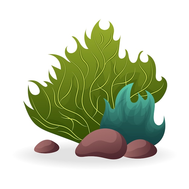 algae of colorful set with its whimsical cartoon design this illustration brings the beauty