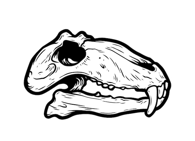 Animal Skull Illustration