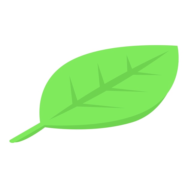 Ant leaf icon Isometric of ant leaf vector icon for web design isolated on white background
