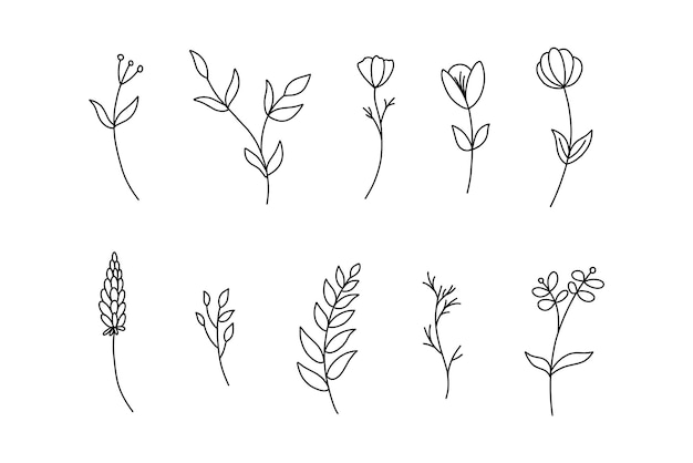 Aseta Botanic Blossom -kukkakuvioelementtien kukinta ja lehdet