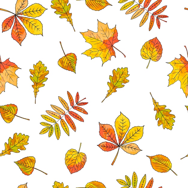 Autumn leaves seamless pattern on white background Pattern in watercolor style