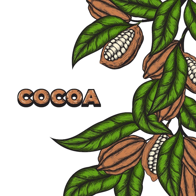 Background with Cocoa Hand Drawn in Vintage Style