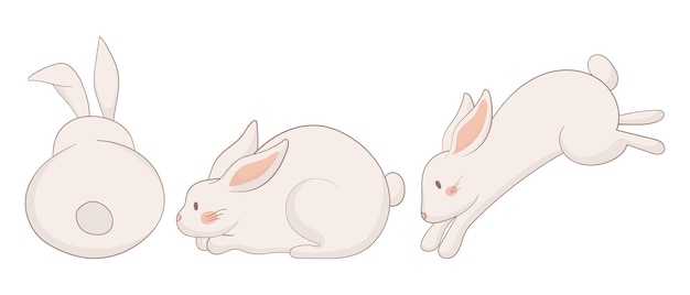 backview sitting and sleeping bunny icon one rabbit is viewed from behind another sits upright looking up and the third is curled up asleep a soft and calming animal illustration