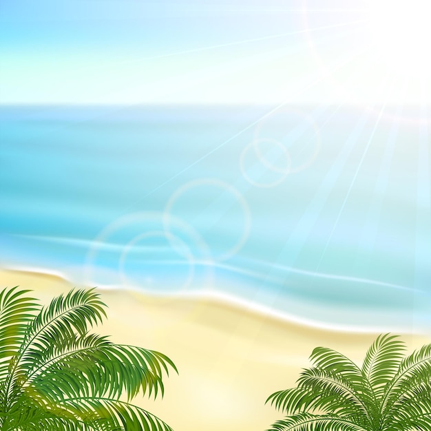 Beach and palms