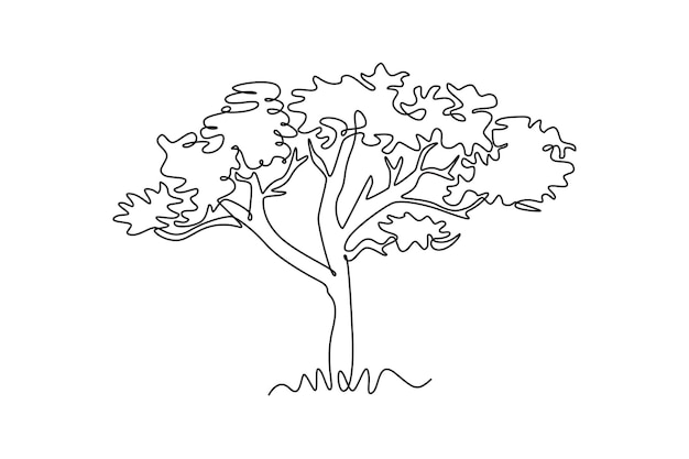 beauty marula tree for wall decor art poster print