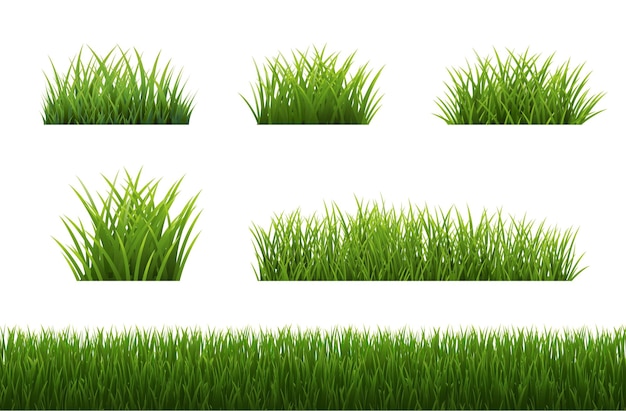 Big Set Grass Panorama With White Background