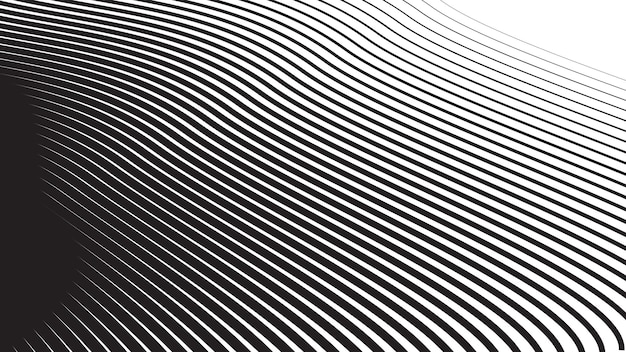 black abstract background with curve line for backdrop or presentation