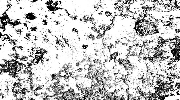 Black and white background with a texture of rocks and stones