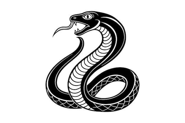 Black and White Cobra Illustration