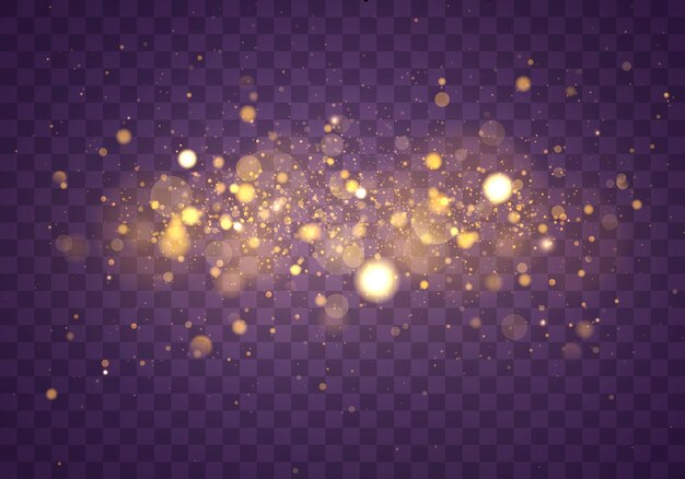 bokeh effect.  sparkling magical dust particles.