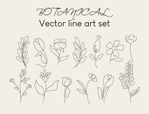 Botanical line art set Floral handdrawn vector collection