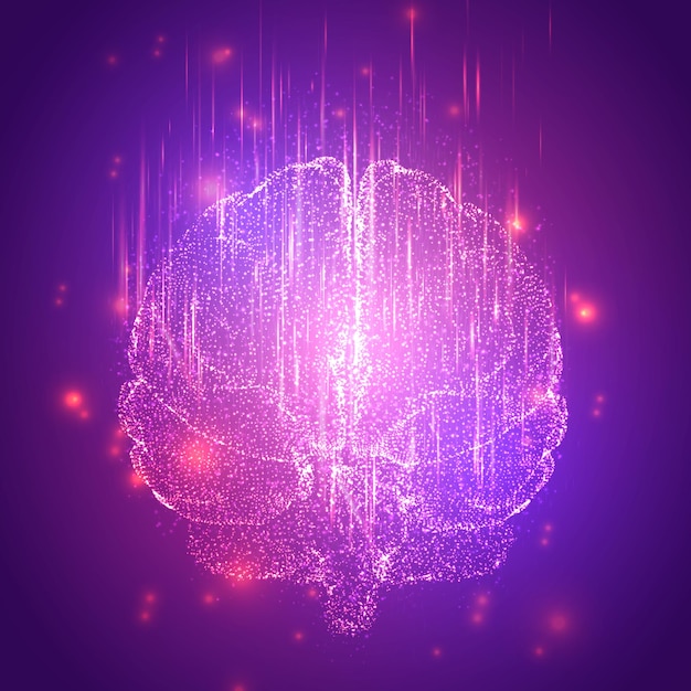 Brain 04bl Converted