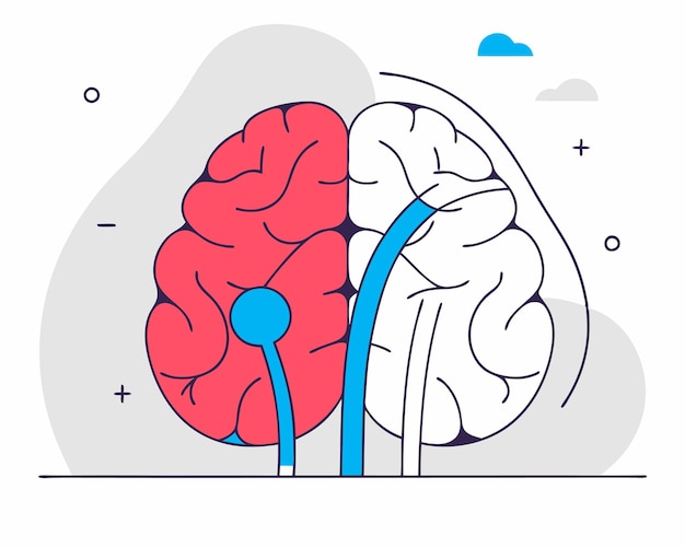 Brain human anatomy biology organ body system health care and medical hand drawn illustration