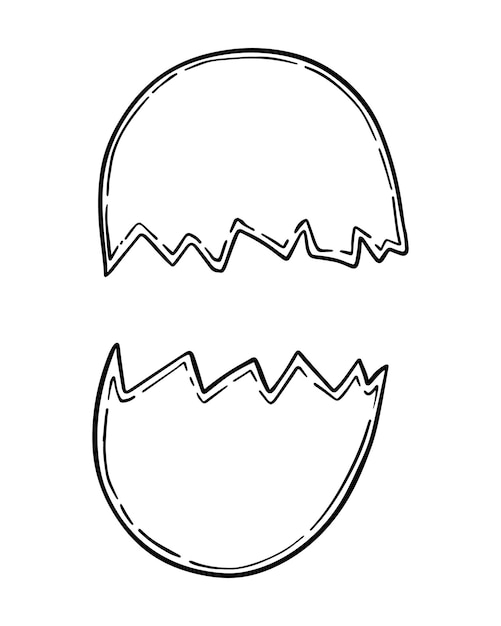 Broken chicken egg shell doodle linear cartoon