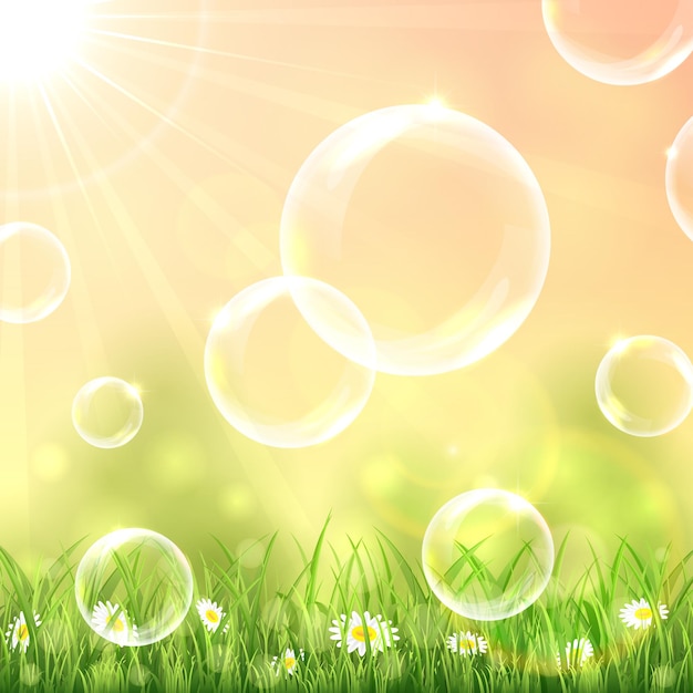 Bubbles above the grass on sunny background illustration