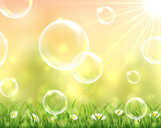 Bubbles flying over the grass on sunny background illustration