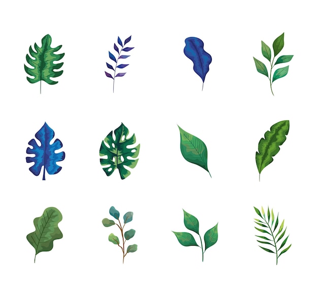 Bundle of twelve leaves and branches icons set