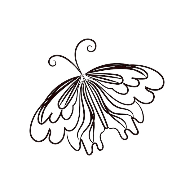 Butterfly outline with drawn details collection