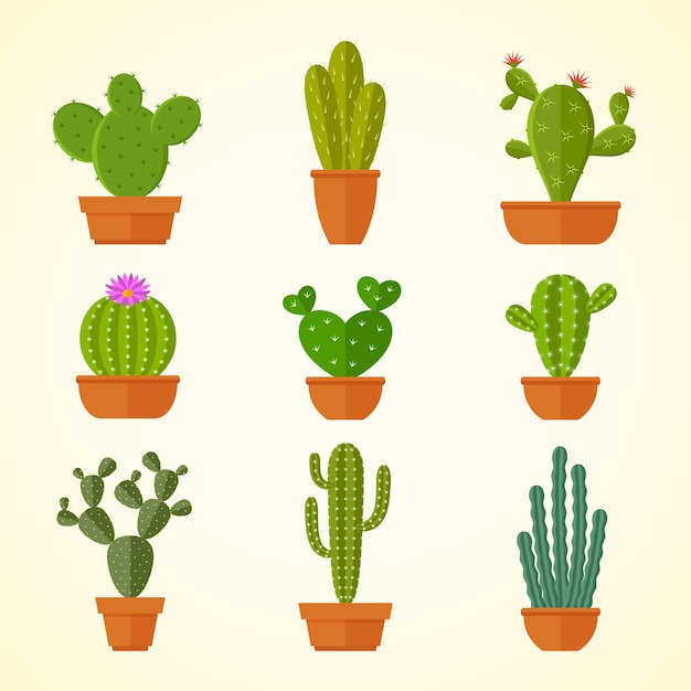 Cactus decorative home plant in pots flat  icons. 