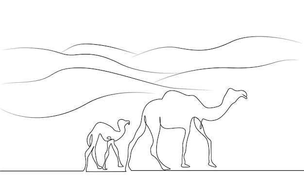 camel camel cub desert  landspace walk line drawing