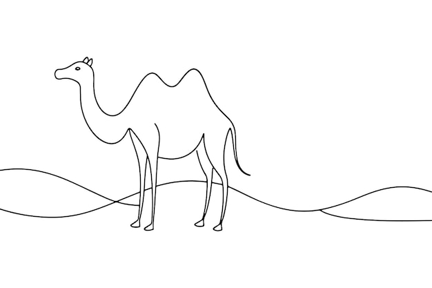 Camel Continuous line art vector illustration on white background