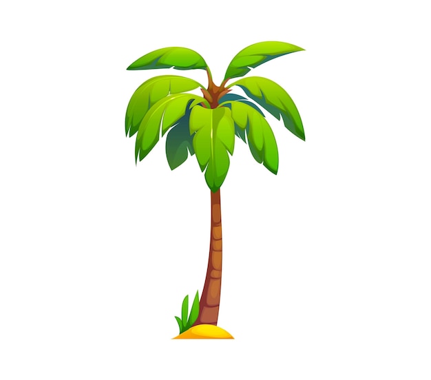 cartoon jungle palm tree tropical forest plant