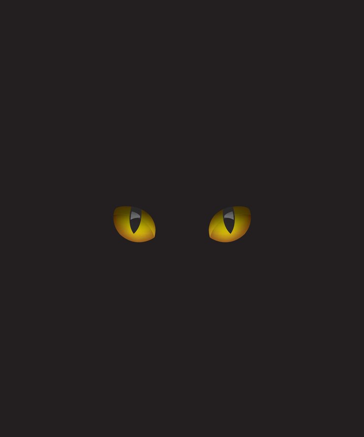 Vektori cat eyes in the dark
