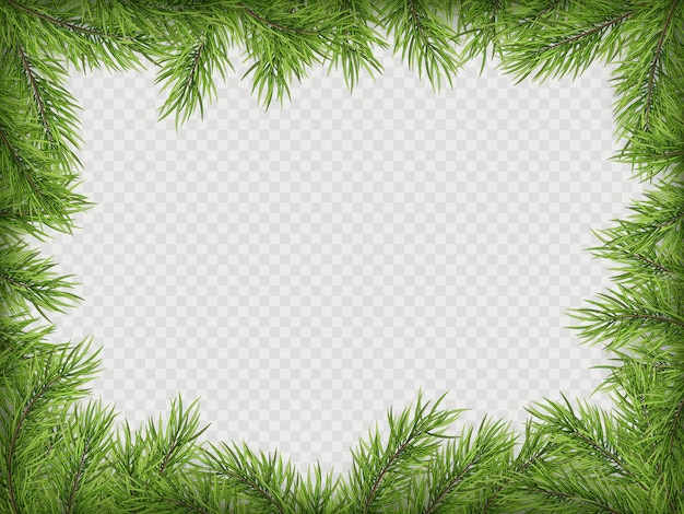 Christmas frame with pine branches and shadow.