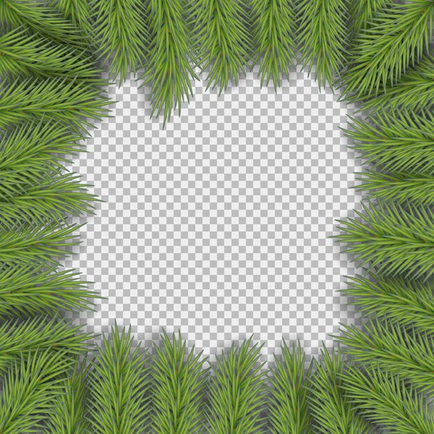 christmas frame with pine branches with space for design
