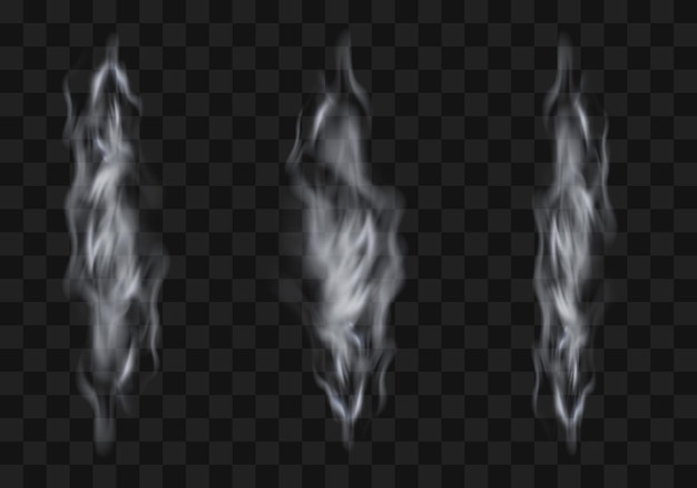 Collection of transparent smoke, steam. Vertical design element.Realistic vector smoke.