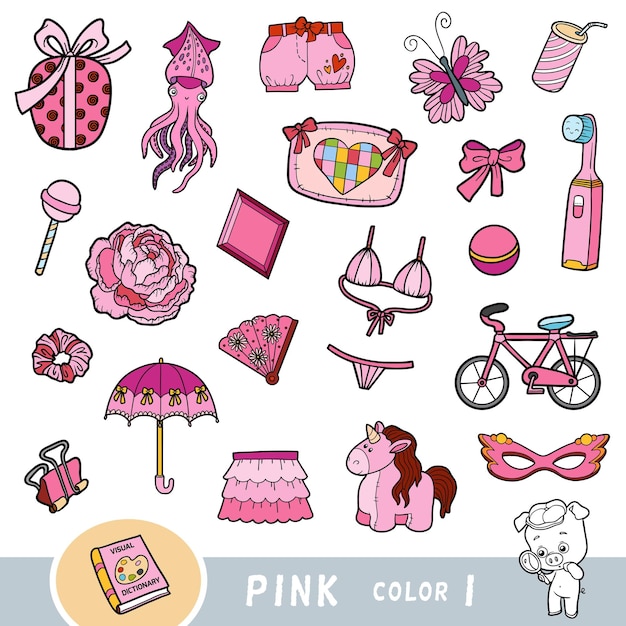 Colorful set of pink color objects Visual dictionary for children about the basic colors