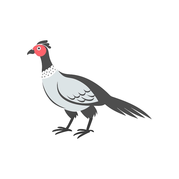 concept of pets and animals
