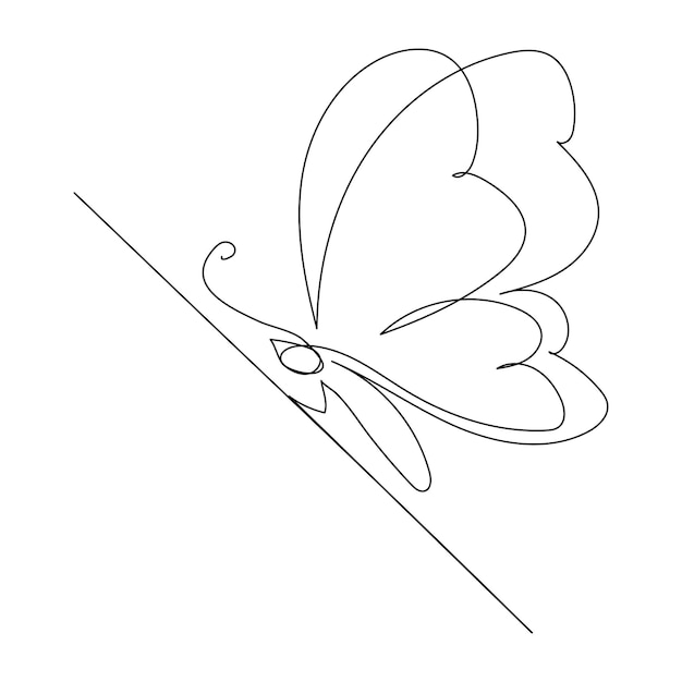 continuous one line butterfly flying single line outline art drawing illustration