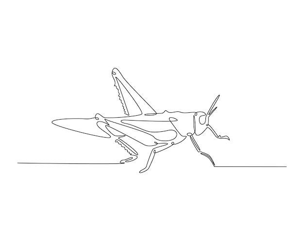 Continuous one line drawing of grasshopper locust