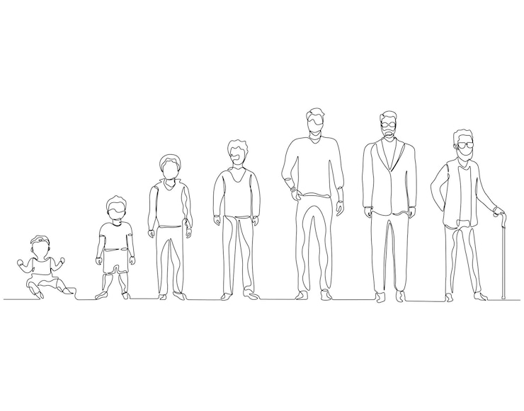 Vektori continuous one line drawing of step of growing up man one line drawing illustration of human life cycle aging process growth toddler concept line art editable outline