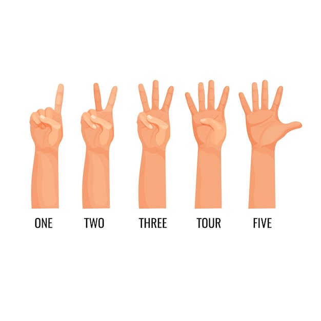 Counting hands show figures, count one, two, three, four, five . Hand showing fingers icons set. Person counting with help of nonverbal language  