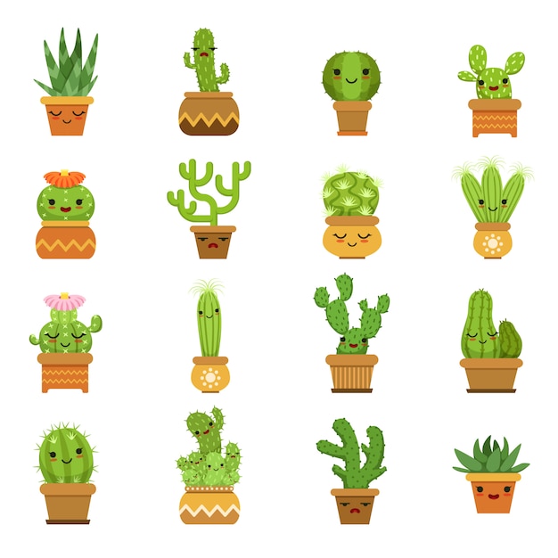 Cute desert plants