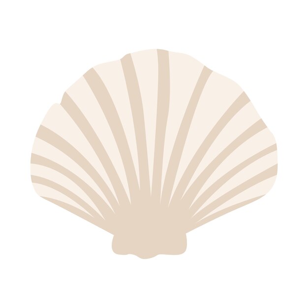 delicate vector seashell design with intricate patterns and soft hues